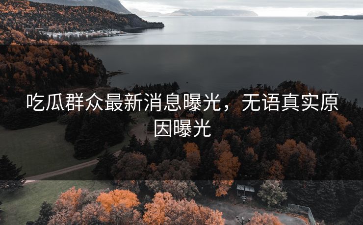 吃瓜群众最新消息曝光，无语真实原因曝光  第1张