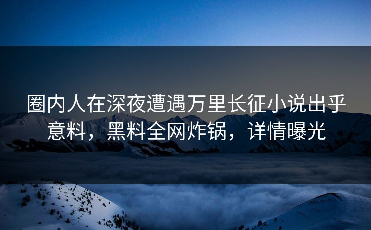 圈内人在深夜遭遇万里长征小说出乎意料，黑料全网炸锅，详情曝光