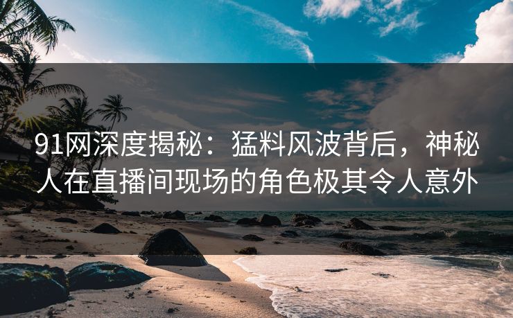 91网深度揭秘：猛料风波背后，神秘人在直播间现场的角色极其令人意外