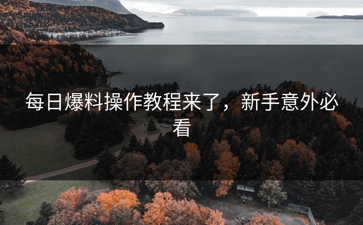 每日爆料操作教程来了，新手意外必看