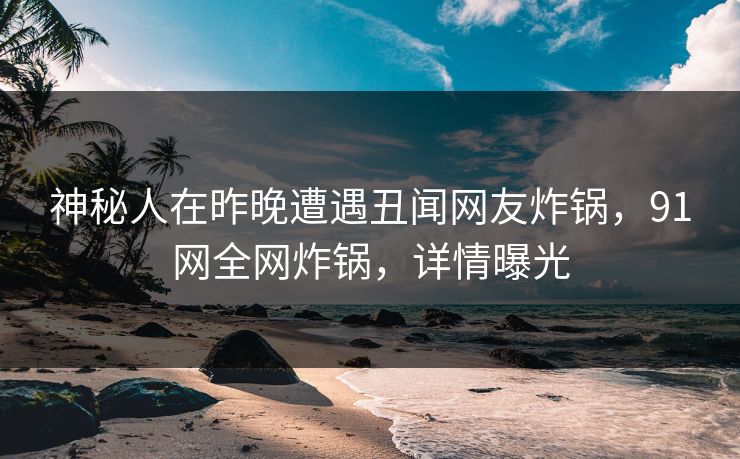 神秘人在昨晚遭遇丑闻网友炸锅，91网全网炸锅，详情曝光  第1张