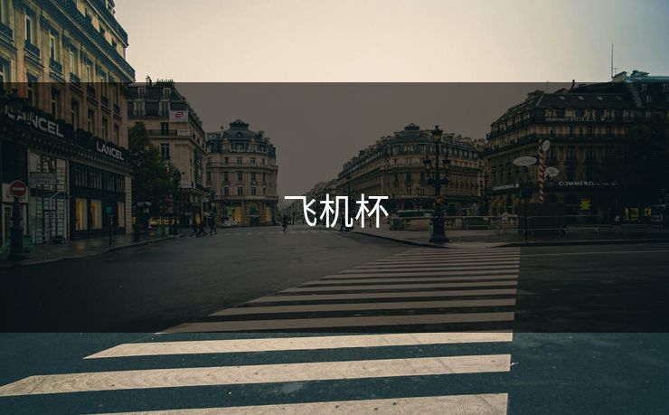 飞机杯