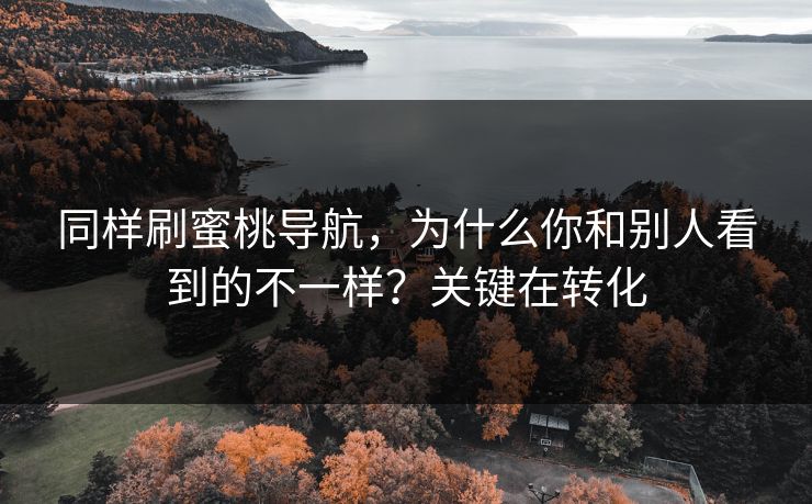 同样刷蜜桃导航,为什么你和别人看到的不一样?关键在转化 第1张 同样刷蜜桃导航,为什么你和别人看到的不一样?关键在转化 第1张