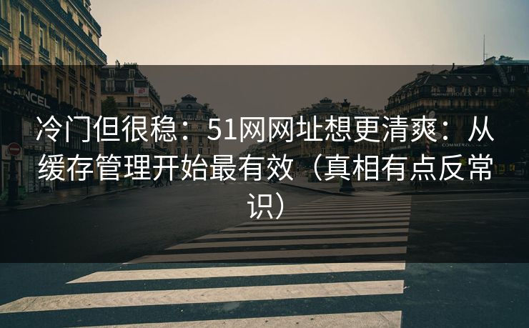 冷门但很稳:51网网址想更清爽:从缓存管理开始最有效(真相有点反常识) 第1张 冷门但很稳:51网网址想更清爽:从缓存管理开始最有效(真相有点反常识) 第1张